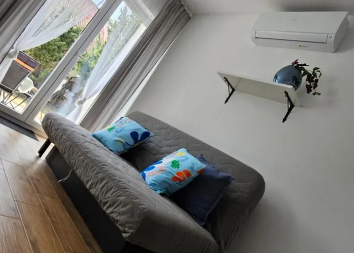 Апартаменты Dana Пустково